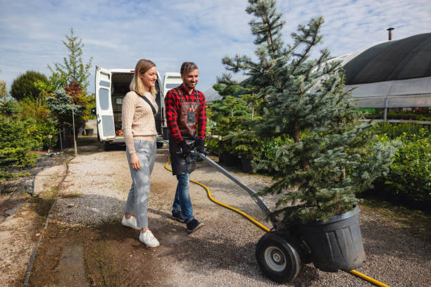 Best Emergency Tree Removal  in Silt, CO